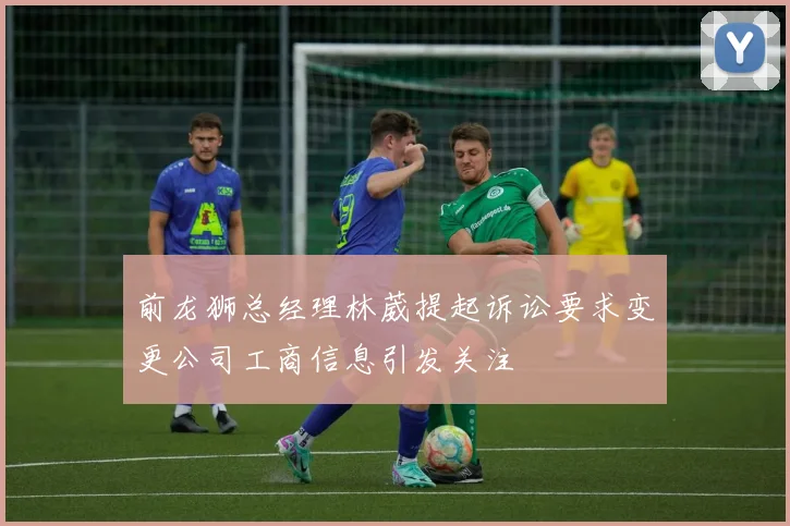 前龙狮总经理林葳提起诉讼要求变更公司工商信息引发关注