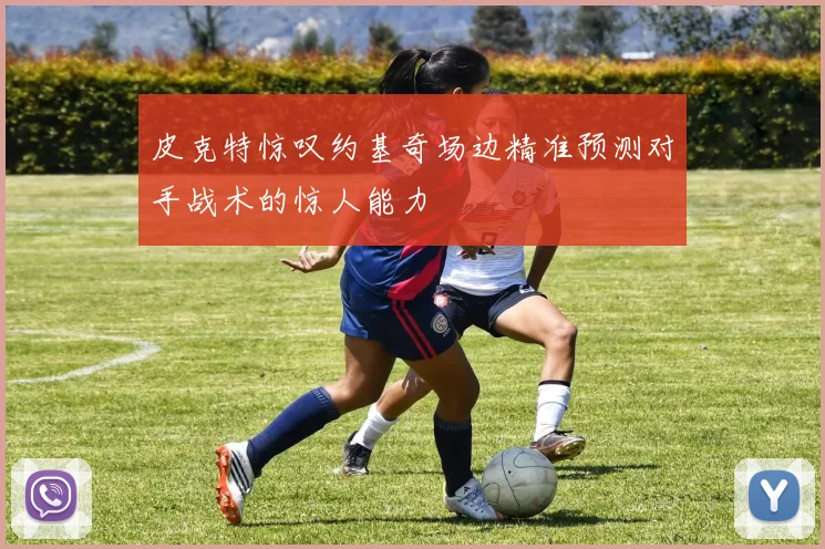 皮克特惊叹约基奇场边精准预测对手战术的惊人能力